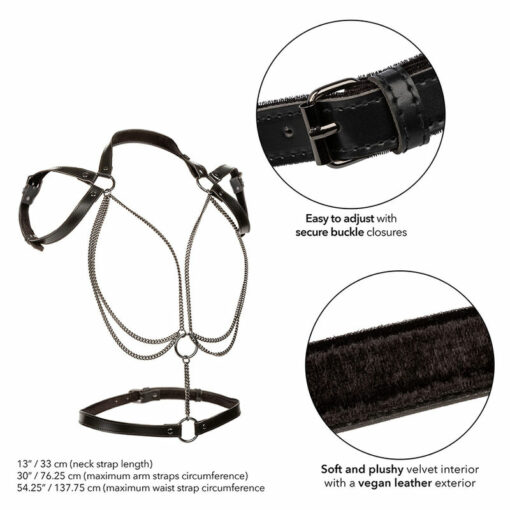 CALEXOTICS - EUPHORIA MULTICHAIN HALTER HARNESS PREMIUM PLUS SIZE - Image 3