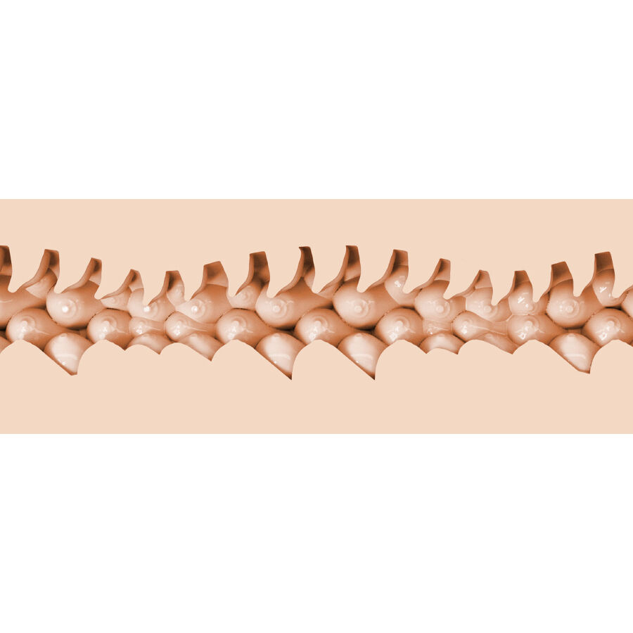 FLESHLIGHT FANTASY - EVIE AKASHIYA VAGINA - Image 3