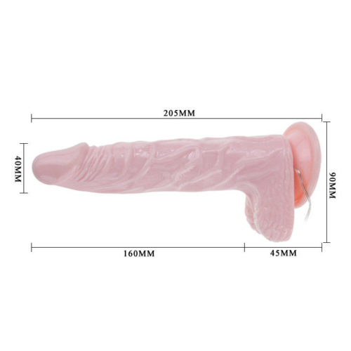 BAILE - SUPER ROTA DONG REALISTIC DILDO 20.5 CM - Bild 5