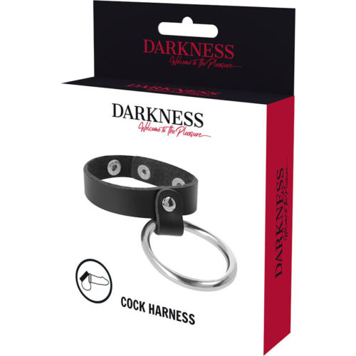 DARKNESS - METAL RING FOR THE PENIS AND TESTICLES - Bild 5