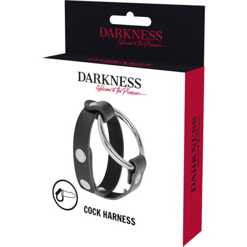 DARKNESS - BDSM COCK AND TESTICLE RING - Bild 5