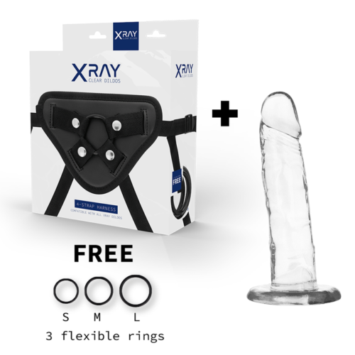 X RAY - HARNESS + CLEAR COCK 18 CM -O- 4 CM - Bild 2